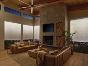 Aura Designer Roller Shades In Living Room Window Treats