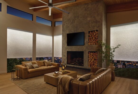 Aura Designer Roller Shades In Living Room Window Treats