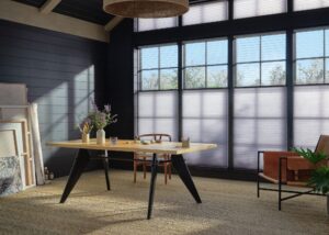 Duette Honeycomb Shade With Duolite Window Treats