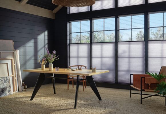 Duette Honeycomb Shade With Duolite Window Treats