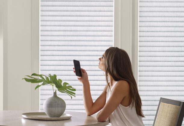 Motorized Window Treatments